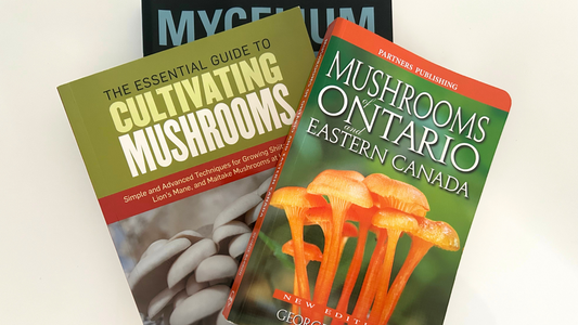 Best Mushroom Farming Books